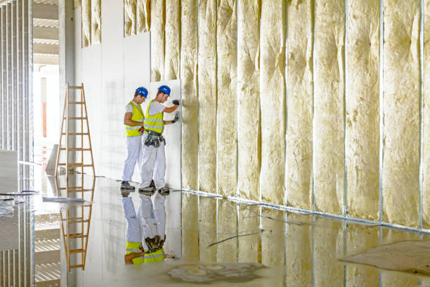 Best Insulation Maintenance and Repair in Stoughton, WI